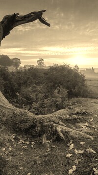 Szary + Sepia