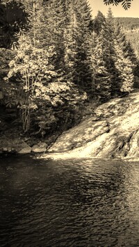 Sepia