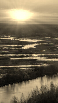 Szary + Sepia