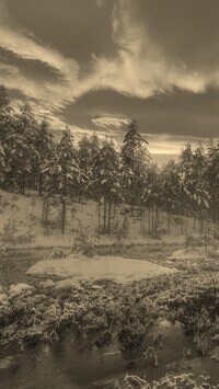 Sepia