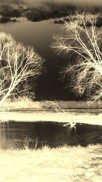 Sepia + Negatyw