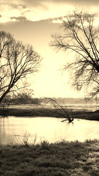 Szary + Sepia