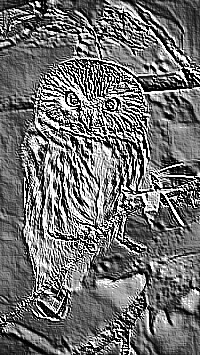 Skamielina