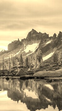 Szary + Sepia