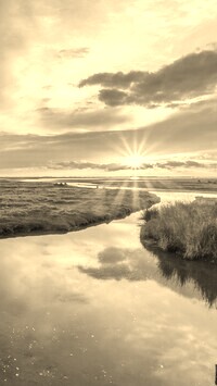 Sepia