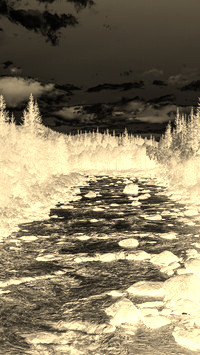 Sepia + Negatyw