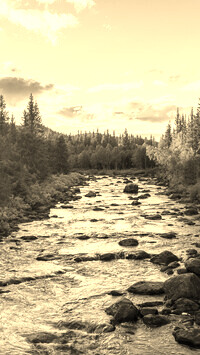 Sepia