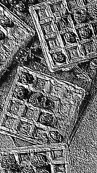 Skamielina