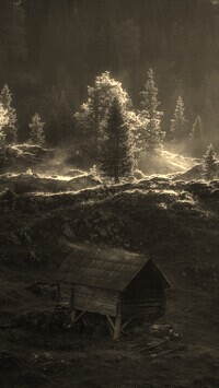 Sepia