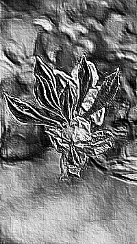 Skamielina