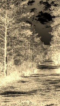Sepia + Negatyw