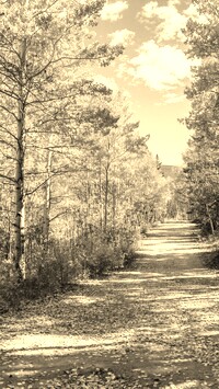 Szary + Sepia