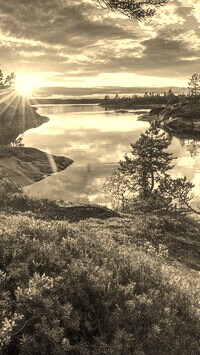 Sepia