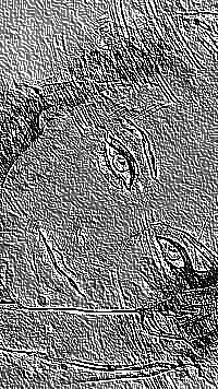 Skamielina