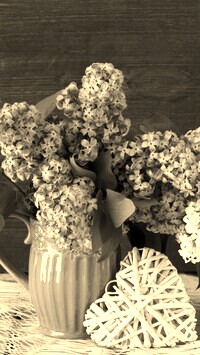 Szary + Sepia