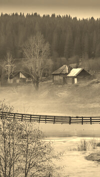 Szary + Sepia