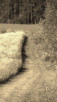 Szary + Sepia