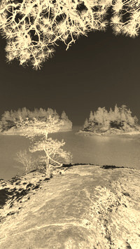 Sepia + Negatyw