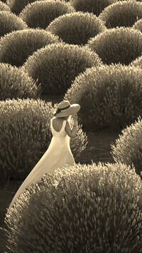 Sepia