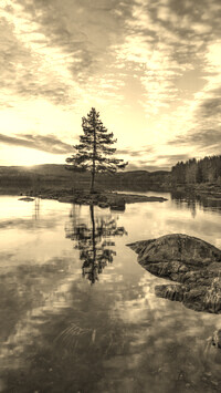 Sepia
