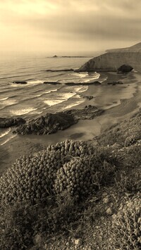 Sepia