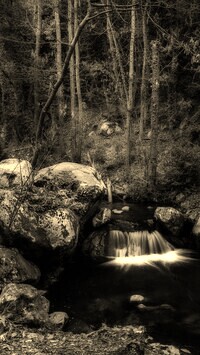 Sepia