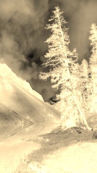 Sepia + Negatyw