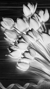 Szary + Negatyw