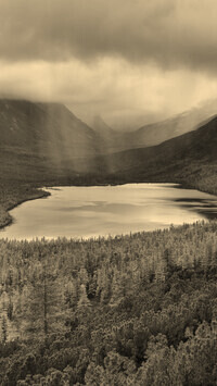 Sepia
