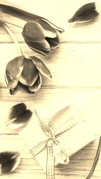 Szary + Sepia
