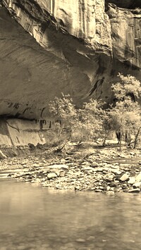 Szary + Sepia