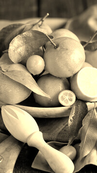 Szary + Sepia
