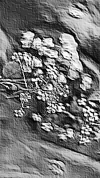 Skamielina