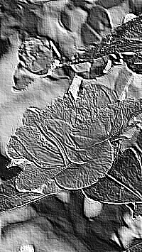 Skamielina