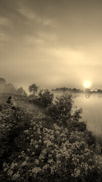 Sepia