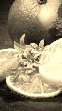 Szary + Sepia