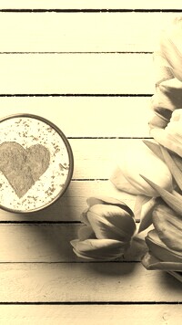 Szary + Sepia