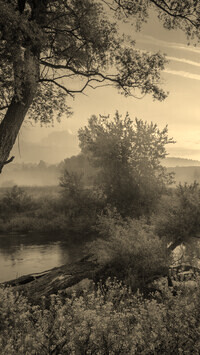Szary + Sepia