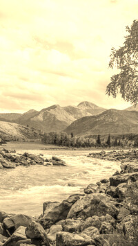 Sepia