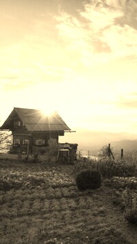 Sepia