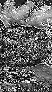 Skamielina