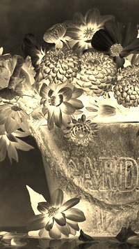 Sepia + Negatyw