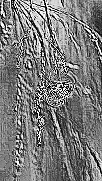 Skamielina