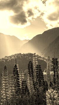 Sepia