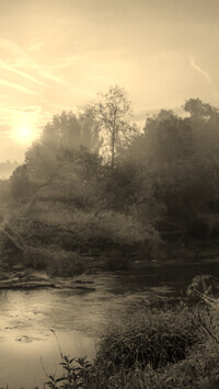 Sepia