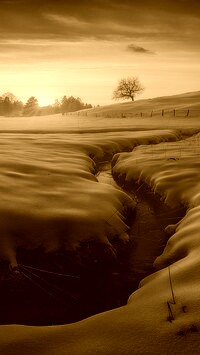 Sepia