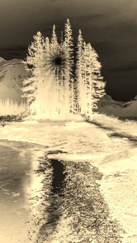 Sepia + Negatyw