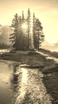 Szary + Sepia