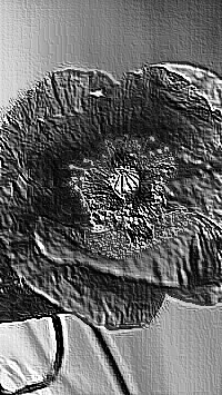 Skamielina