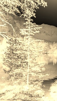 Sepia + Negatyw